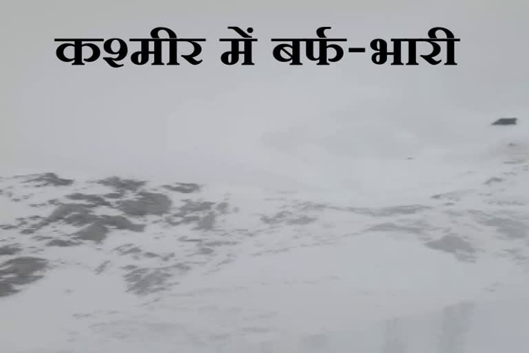 राजौरी में गिरी बर्फ