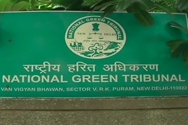 Over Rs 800 crore Environment Relief Fund for victims lying unused, NGT slams MoEF