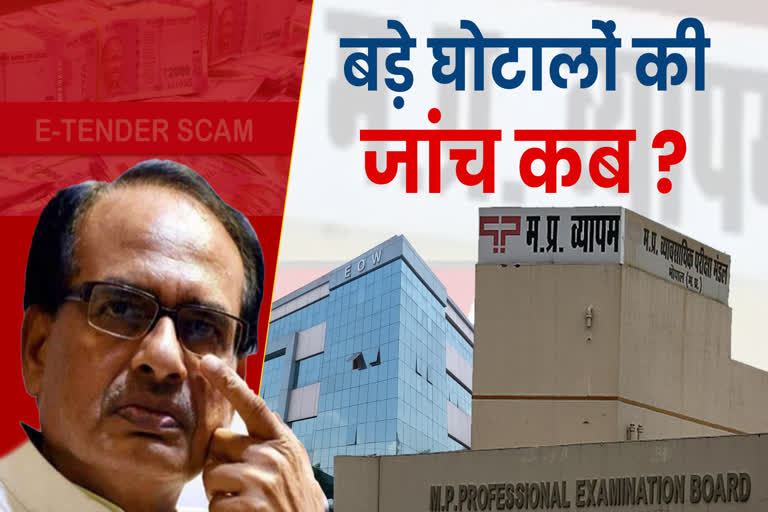 big scams of Madhya Pradesh