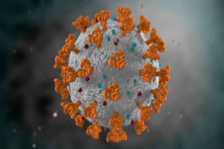 528 more test positive for COVID-19 in U'khand  Utharakhand  COVID-19  528 more test positive  ഉത്തരാഖണ്ഡില്‍ 24 മണിക്കൂറഇനിടെ 528 കൊവിഡ് ബാധിതര്‍  ഉത്തരാഖണ്ഡ്  കൊവിഡ്-19  528 കൊവിഡ് ബാധിതര്‍