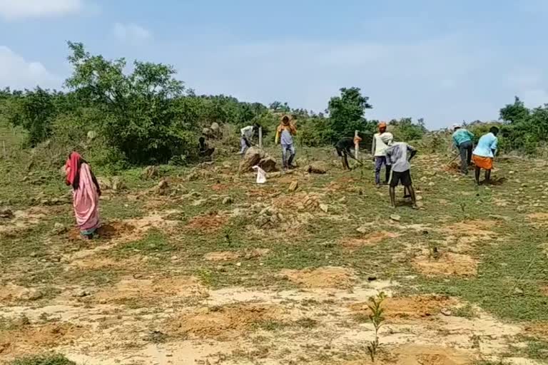 fir-registered-against-agency-for-using-jcb-in-mnrega-in-palamu