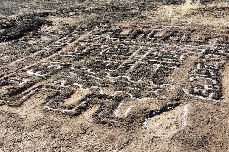 सिंधुदुर्गात नव्याने सापडले कातळशिल्प