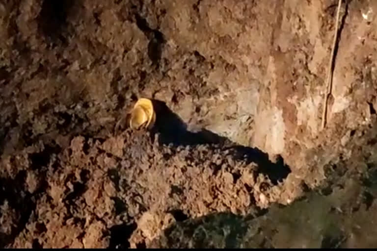 worker died due to soil subsidence in jamshedpur