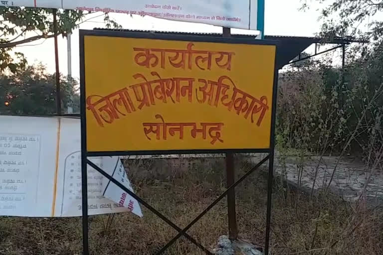 नहीं थम रही बाल तस्करी