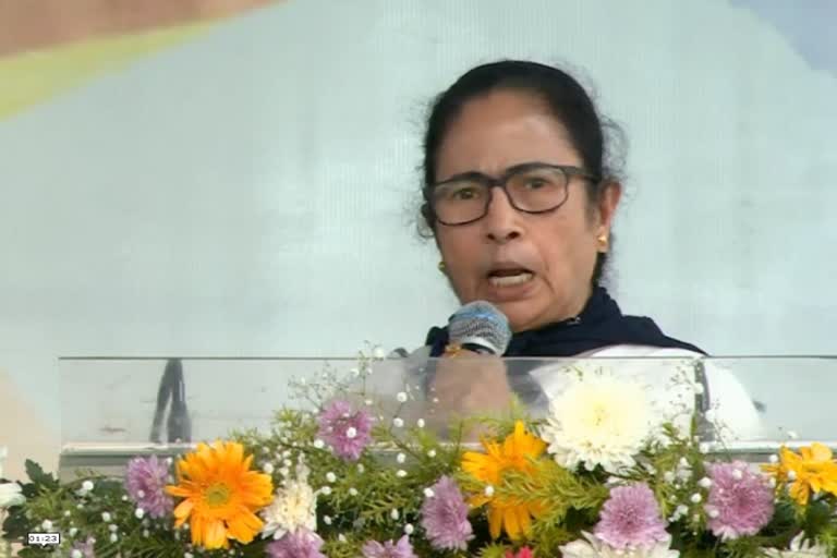 mamata banerjee