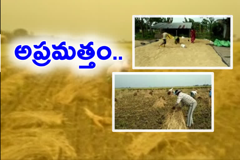 Farmers alert with Nivar  cyclone warning