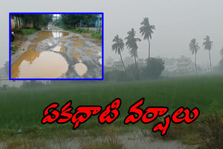 heavy rains in nellore district