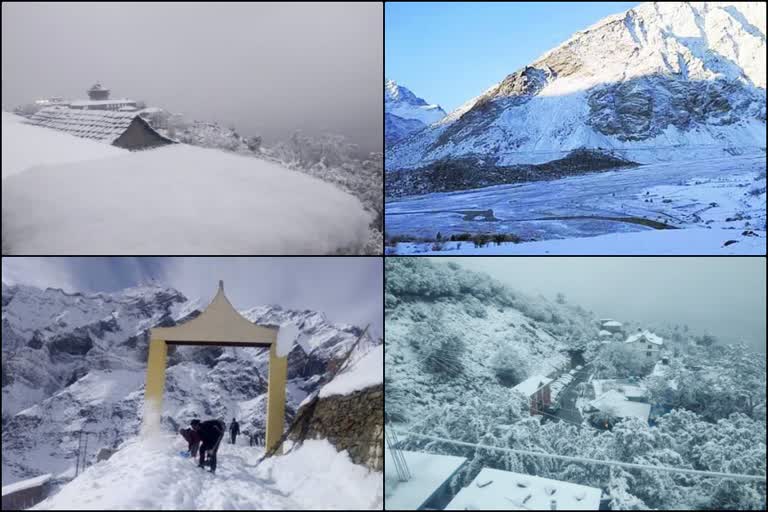 himachal weather update