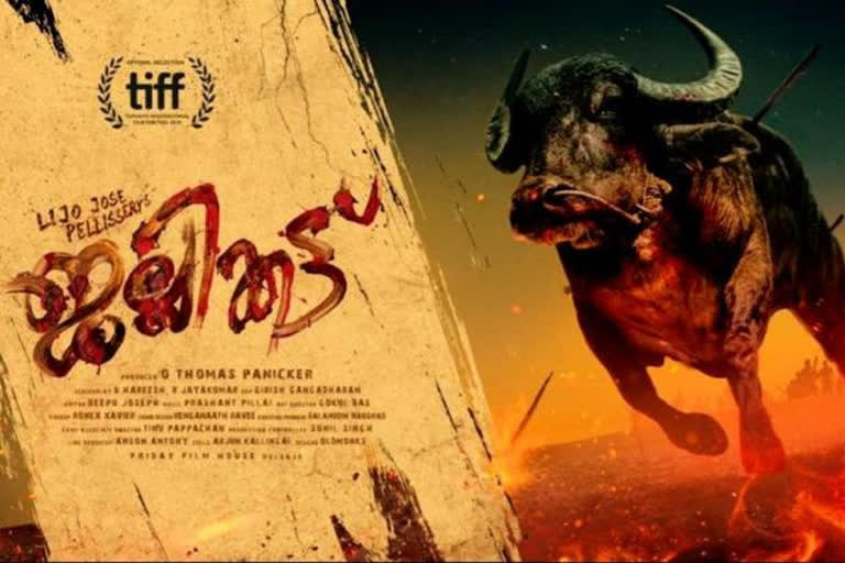 'Jallikattu' is India's official Oscar entry