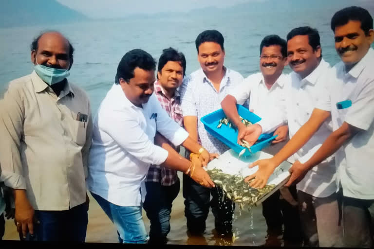 Release of fish into Thandava reservoir