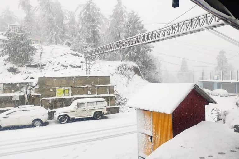 Snowfall in Kufri