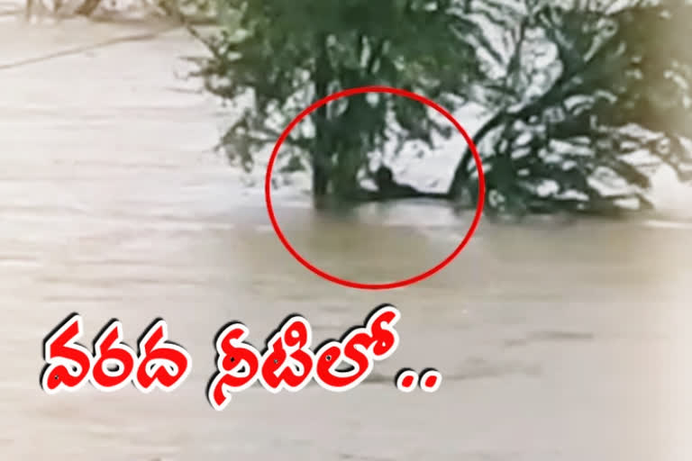 Farmers trapped in floods in Chittoor district