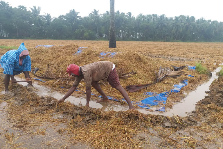 rains in konaseema