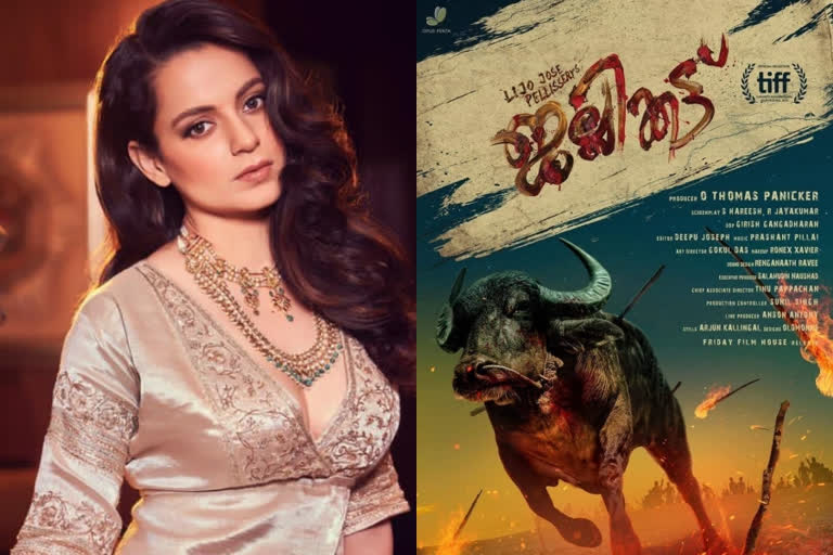 actress kangana ranaut tweet about malayalam movie jallikattu oscar entry  ജെല്ലിക്കെട്ടിന് അഭിനന്ദനങ്ങളുമായി കങ്കണ റണൗട്ട്  ജെല്ലിക്കെട്ട് സിനിമ  ജെല്ലിക്കെട്ട് കങ്കണ റണൗട്ട്  ബോളിവുഡ് മാഫിയ കങ്കണ റണൗട്ട്  കങ്കണ റണൗട്ട്  jallikattu oscar entry  actress kangana ranaut tweet about malayalam movie jallikattu