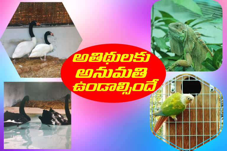 Take permission for foreign countrys pet animals who have in the state