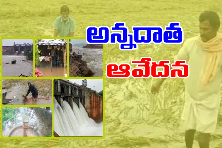 rain in kadapa district due to nivar cyclone