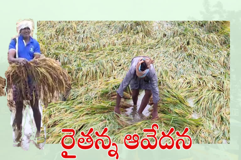 నివర్ మిగిల్చిన నష్టం తీర్చేదెవరు?