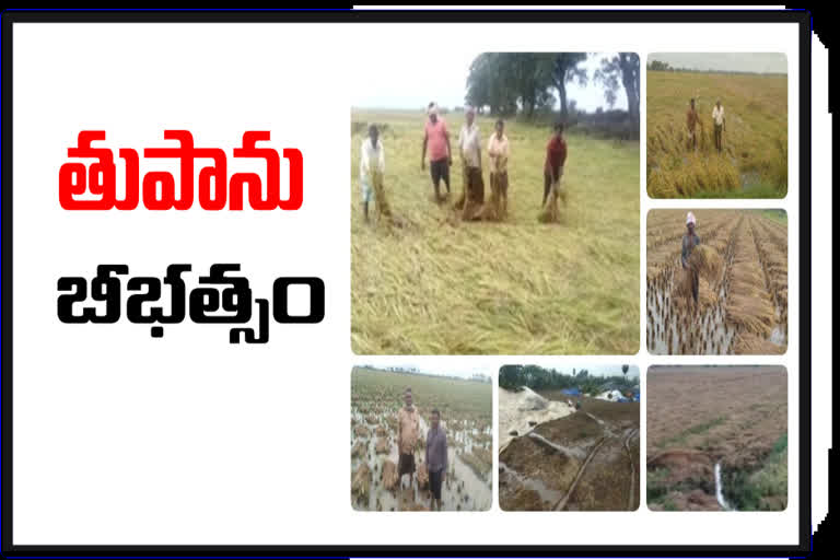 crop  submerged in water  at krishna district