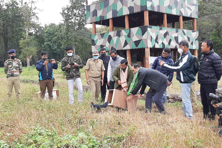 শিলিগুড়ি