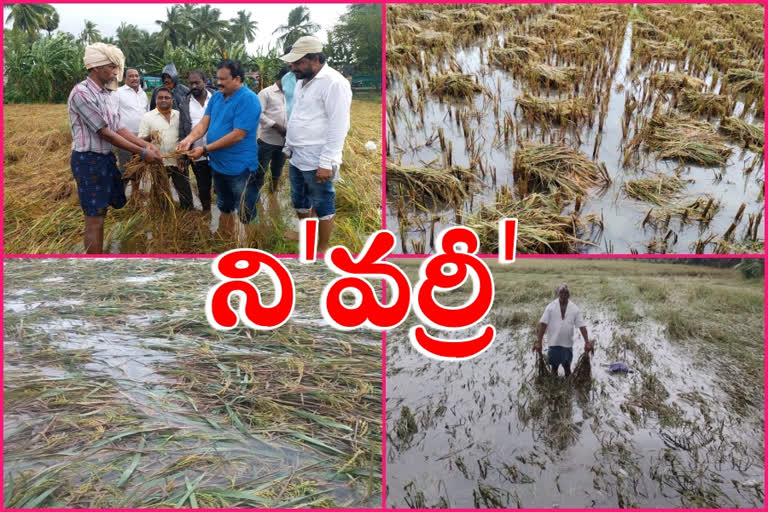 east godavari fields