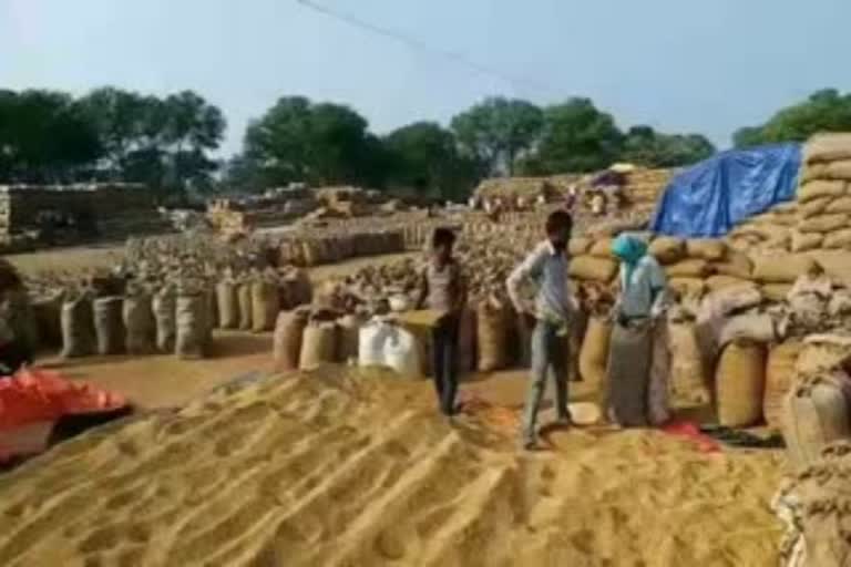 monitoring of paddy purchasing