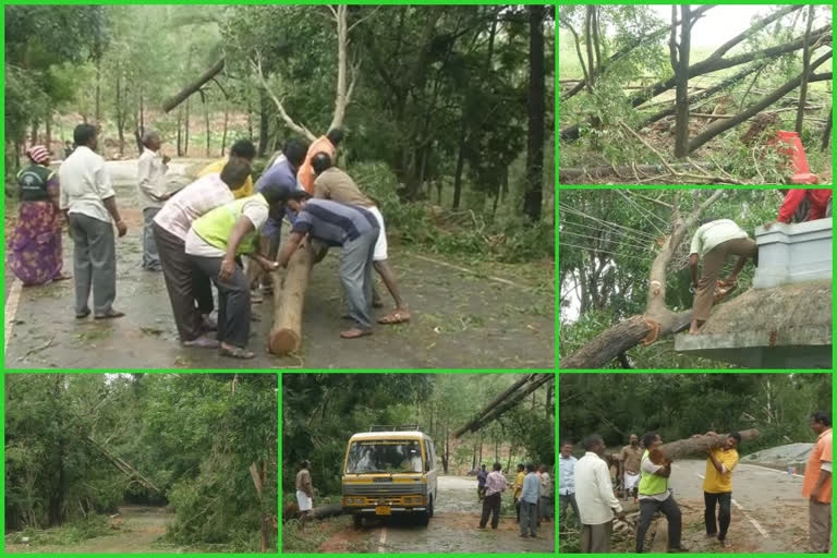 తిరుమలలో 'నివర్' బీభత్సం