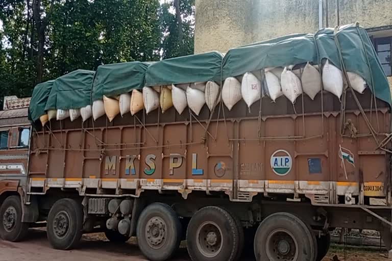 wadrafnagar-sdm-seized-600-bags-of-illegal-paddy-from-truck-in-balrampur