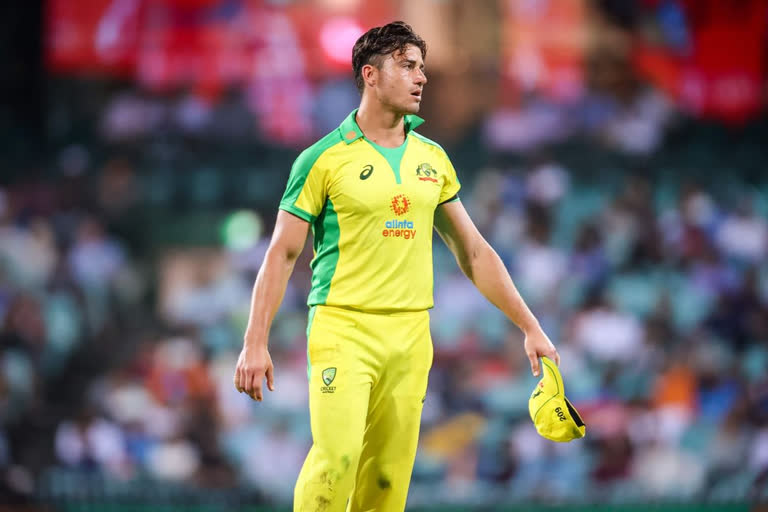 Marcus Stoinis