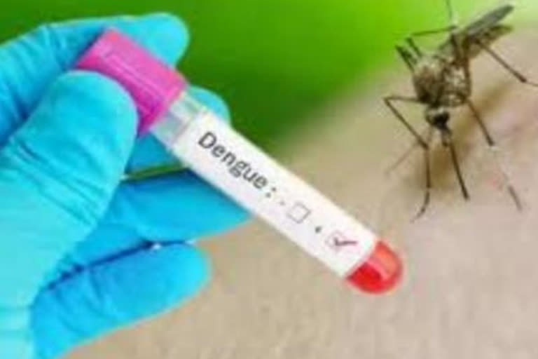 कन्नौज में बढ़ रहा है डेंगू का प्रकोप