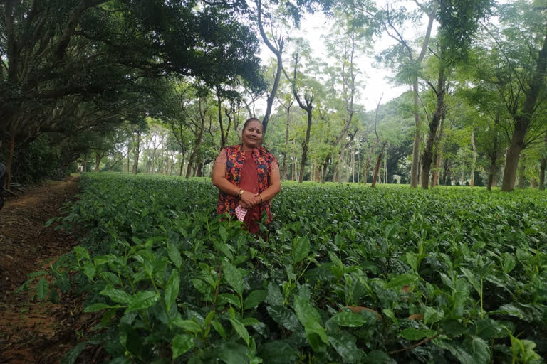 Kiranmayee Nayak in jashpur