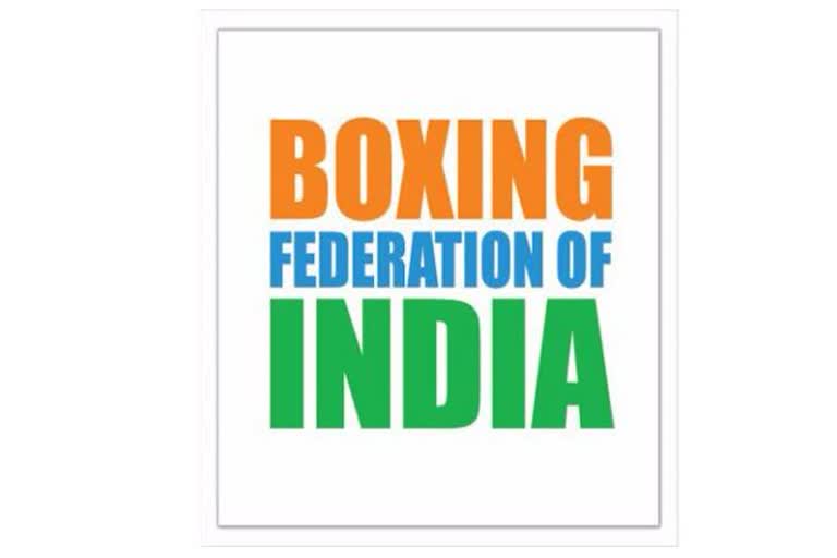 boxing-federation-of-india-to-hold-elections-on-december-18