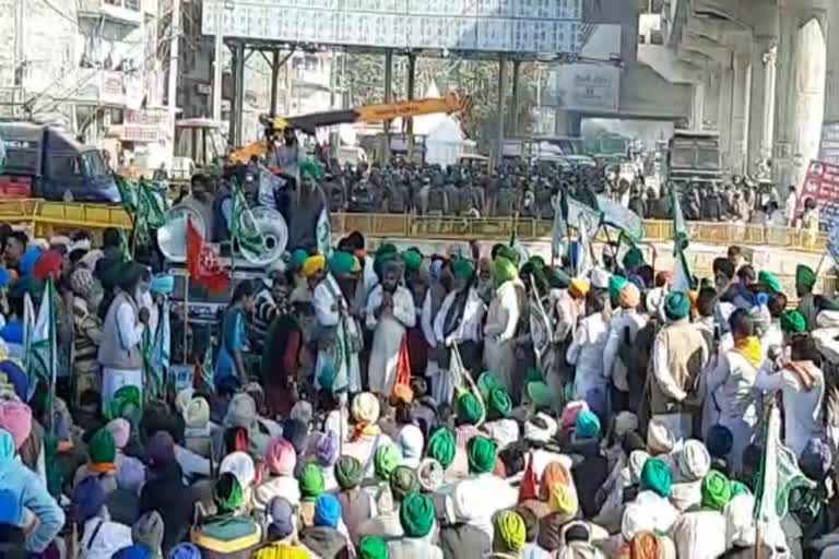 farmers protest tikri border