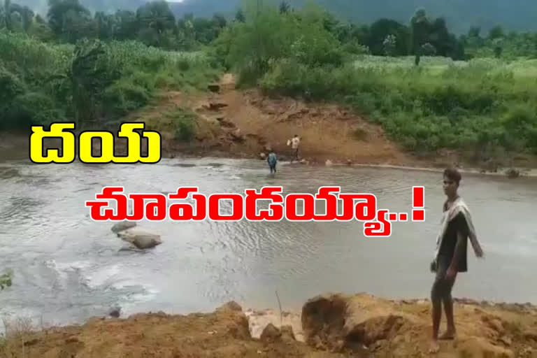 tribals struggle due no road facilities at cheedikada