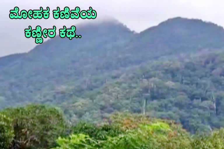 ಟೀ ಎಸ್ಟೇಟ್​ ಕಾರ್ಮಿಕರ ಜೀವನ ವ್ಯಥೆ..!