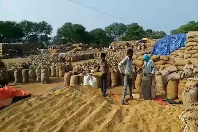 sdm-inspected-12-paddy-procurement-centers-in-dantewada