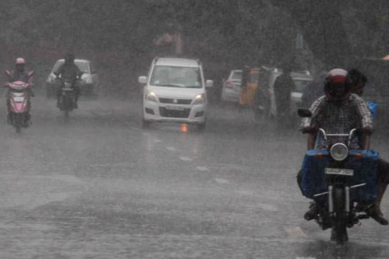 തിരുവനന്തപുരം  ശക്തമായ മഴയ്ക്ക് സാധ്യത  rain update  Thiruvananthapuram  kerala rain alert  യെല്ലോ അലർട്ട്