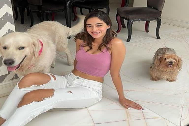 ananya-spend-her-sunday-with-her-with-pet-dog