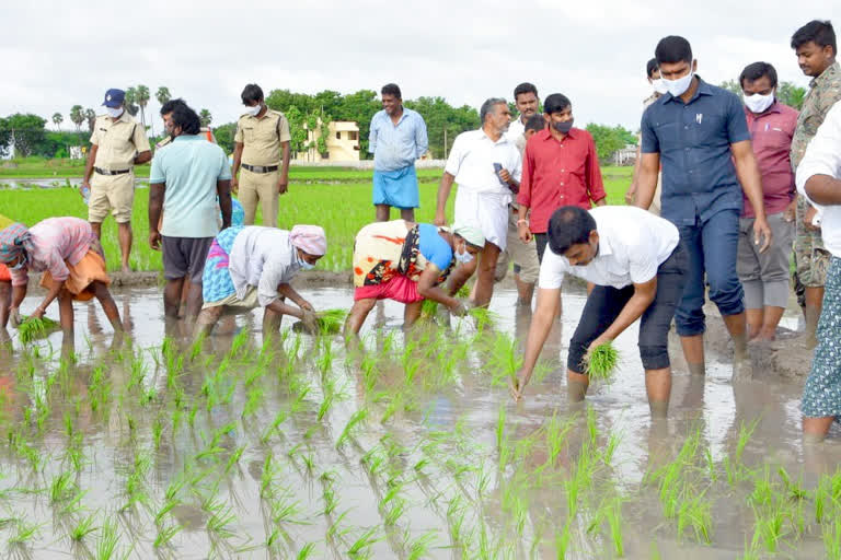 tirupathi sp ramesh reddy does farming at cherlopally in chittor