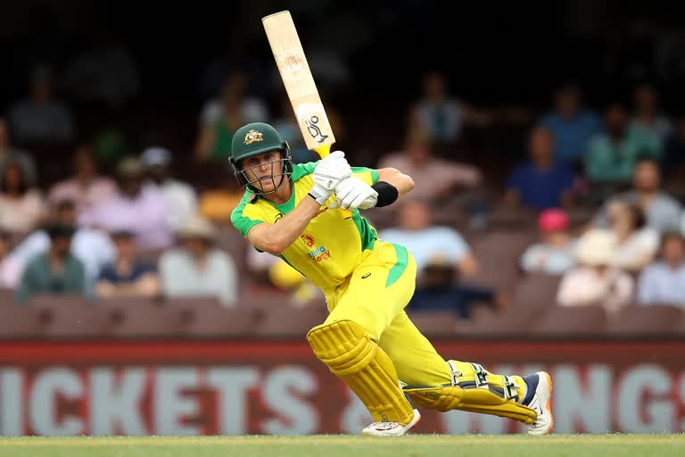 AUS vs IND: Marnus Labuschagne puts up hand to open in David Warner's absence