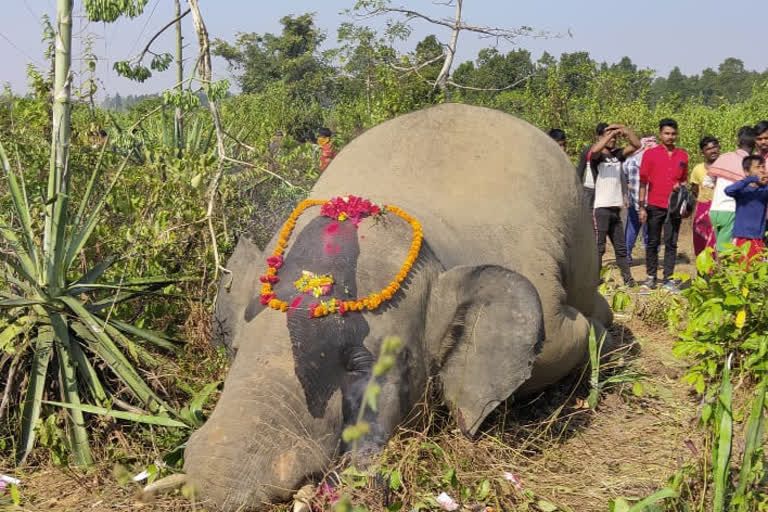 ছবি