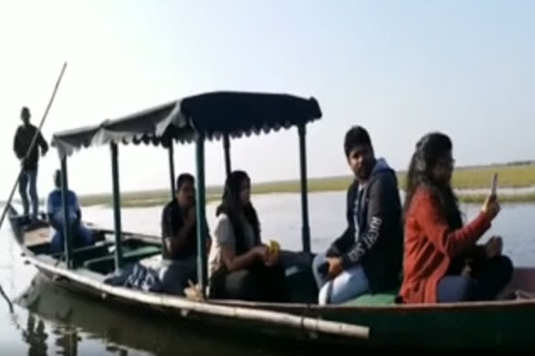 Congregation of migratory birds in Chilika attract tourists