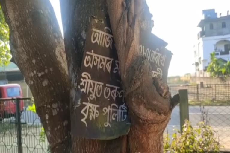 jorhat tree story