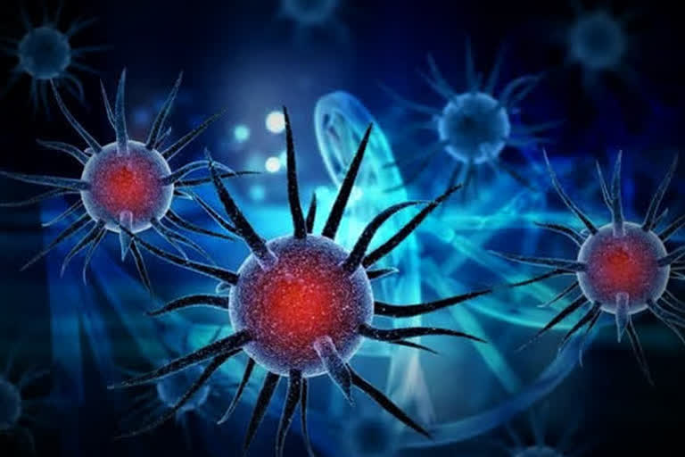 Nagaland COVID-19  Corona virus updates  Recoveries in nagaland