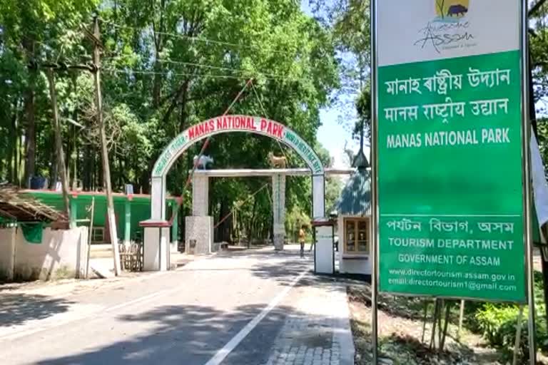 manas national park