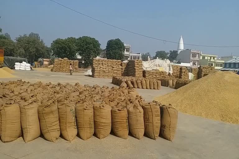 gohana grain market close