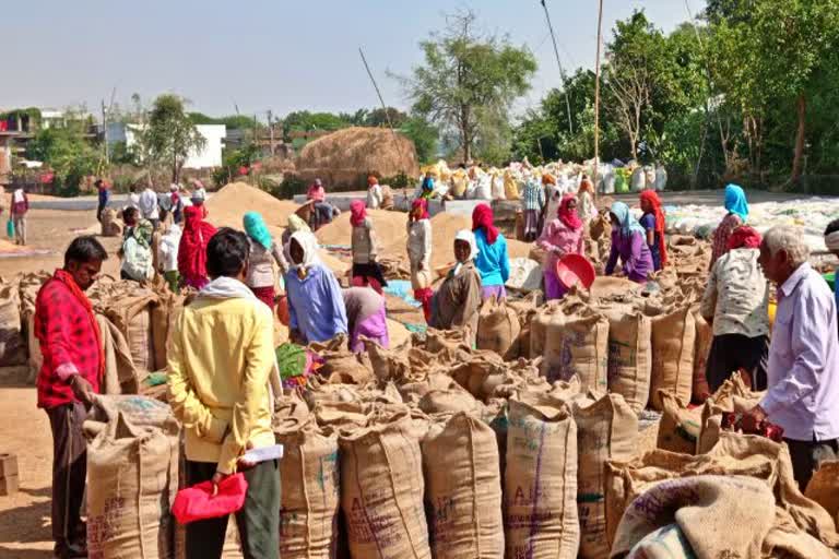 Paddy Procurement Center of Dhamtari