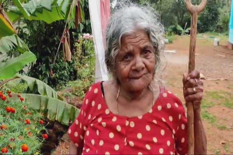 tribal grandmother  ആദിവാസിമുത്തശ്ശി മുണ്ടിയമ്മ  election memories  local boady election  തദ്ദേശ തെരഞ്ഞെടുപ്പ്  ഇടുക്കി  idukki