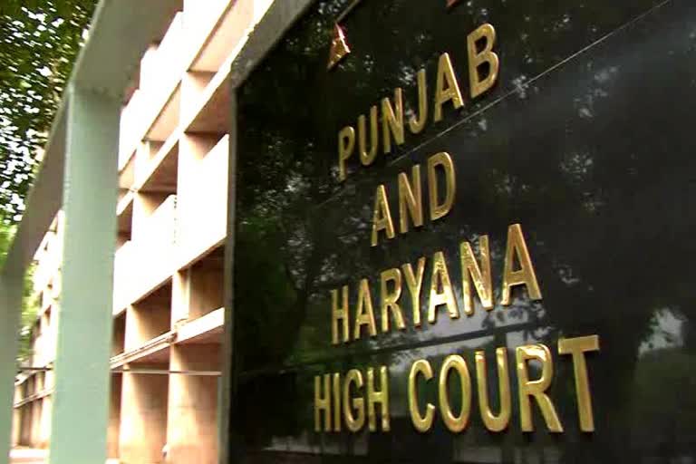 punjab haryana Hc