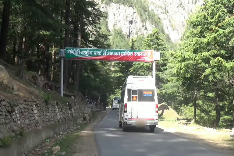 gangotri-national-park