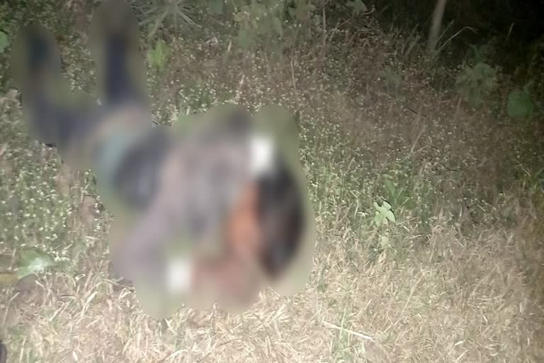 young man died in road accident in seraikela